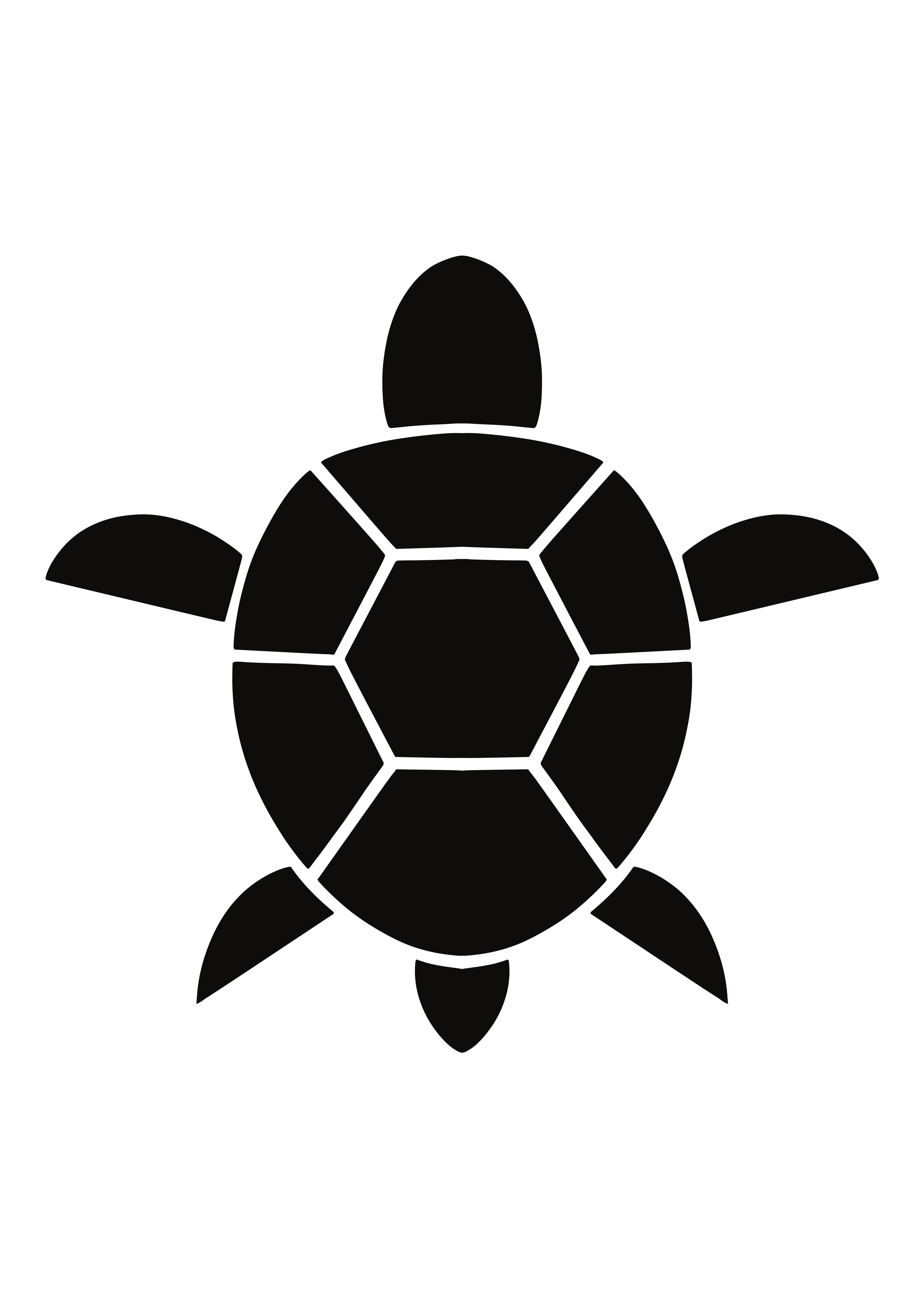 Fast Turtle Logo